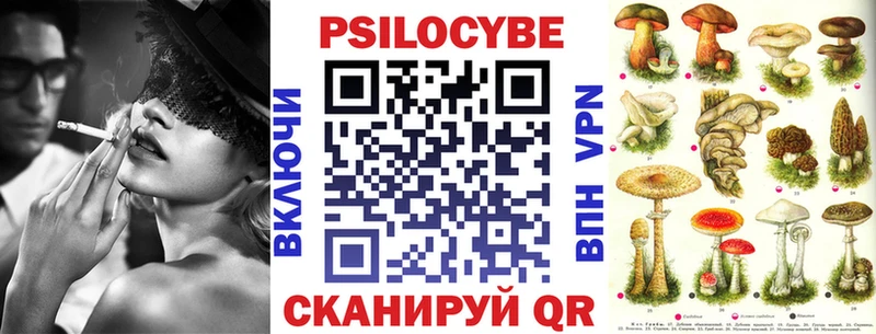 Псилоцибиновые грибы MAGIC MUSHROOMS  Купить закладки  Каменск-Уральский 